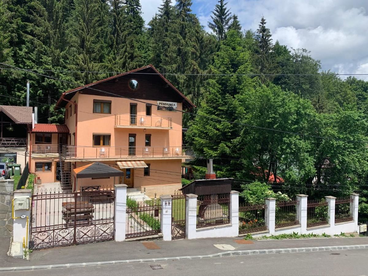 Гостевой дом Pensiunea Luminita Буштени-4